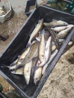 WhatsApp Image 2026-04-02 at 18.36.45 (1).jpeg